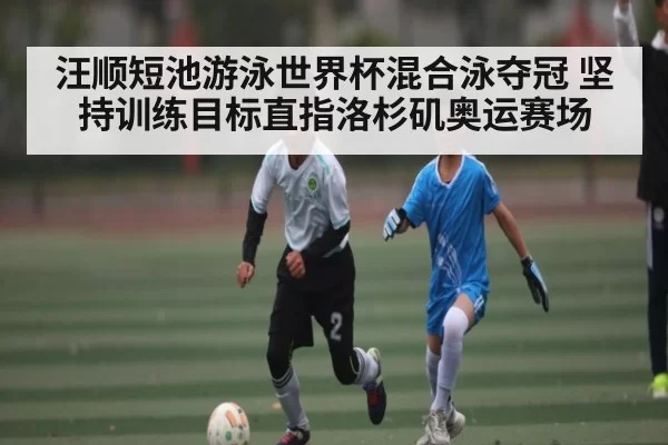 汪顺短池游泳世界杯混合泳夺冠 坚持训练目标直指洛杉矶奥运赛场（kaiyun）